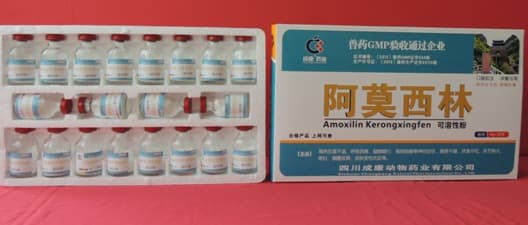 Amoxicillin Soluble Powder 100g